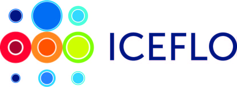 ICEFLO Limited Logo
